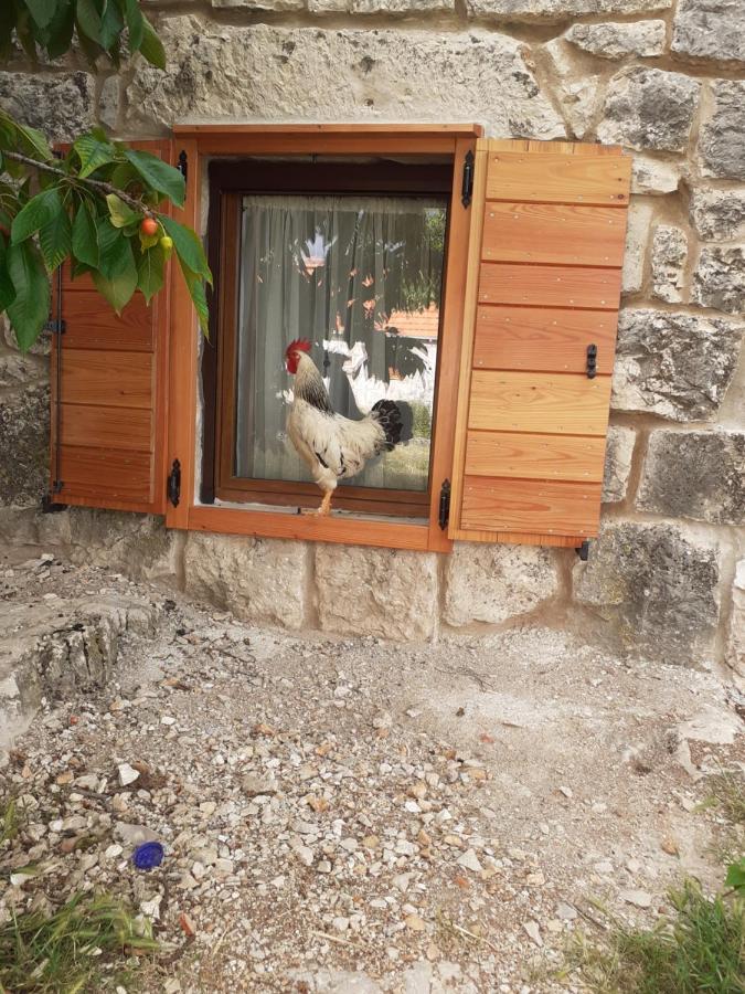 Patakun Holiday Home For 5, With Heated Pool Lecevica Exterior foto